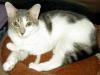Roxy