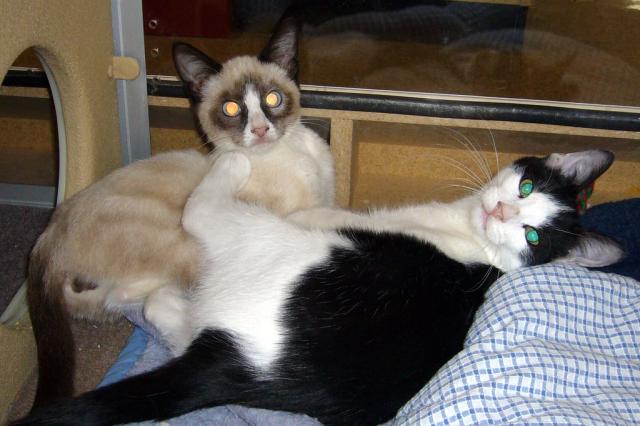 Argyle and Quincy