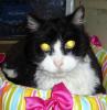 Bootsy pic. #1