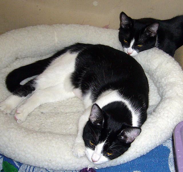 Maggie and Lillie