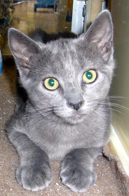 Timmy (pic. #1)