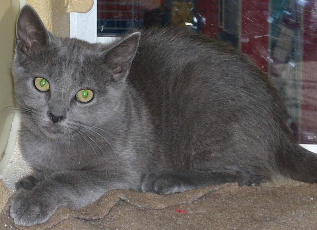 Timmy (pic. #2)
