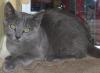Timmy (pic. #2)