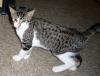 Harriet (pic. #2)