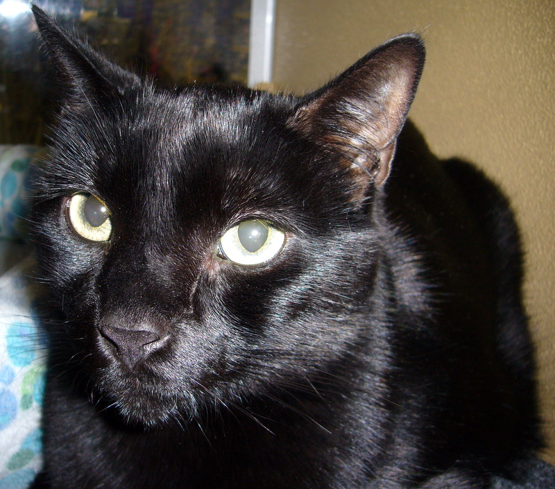 Cinder
