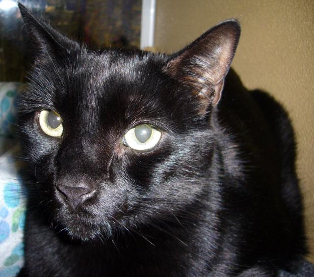 Cinder