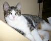 Toby (of Toby and Tabitha)
