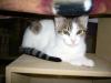 Tabitha (of Toby and Tabitha)