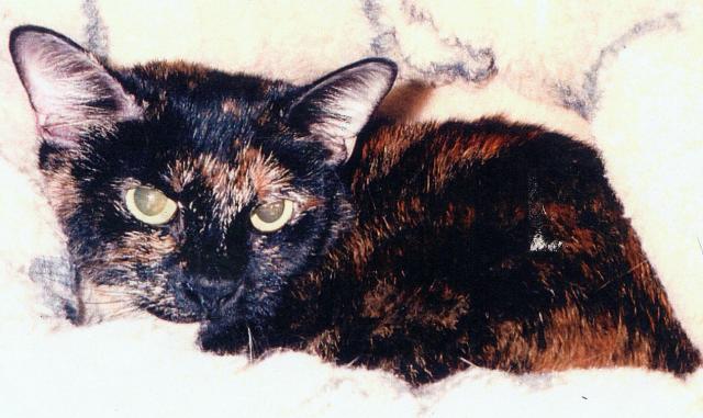 Bobbie-Rose w/ eyes open