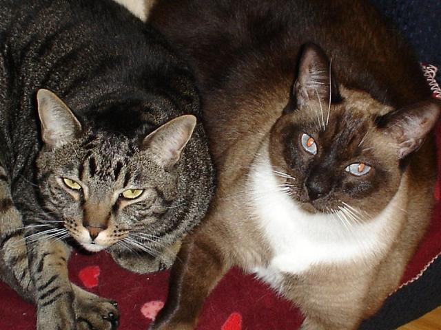 Skeeter and Roo