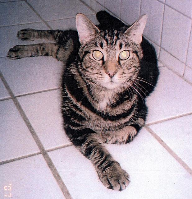 Seymore