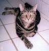 Seymore