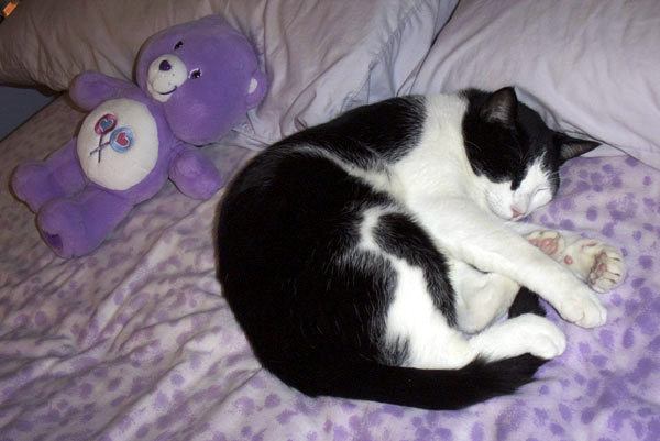 Twilight (pic. #3)