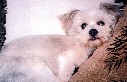 Woolworth (of W. and Pennie)